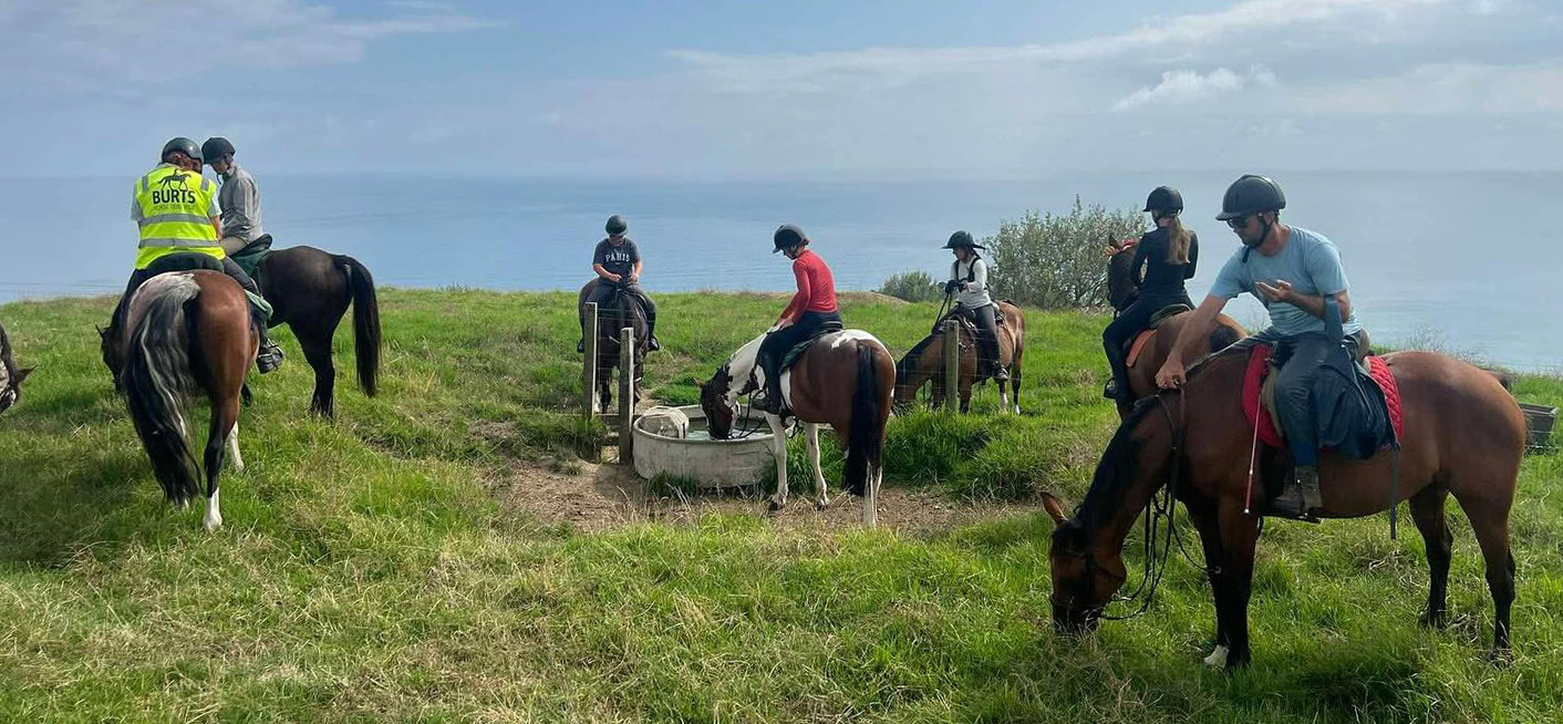 Burts horse trail ride Crop